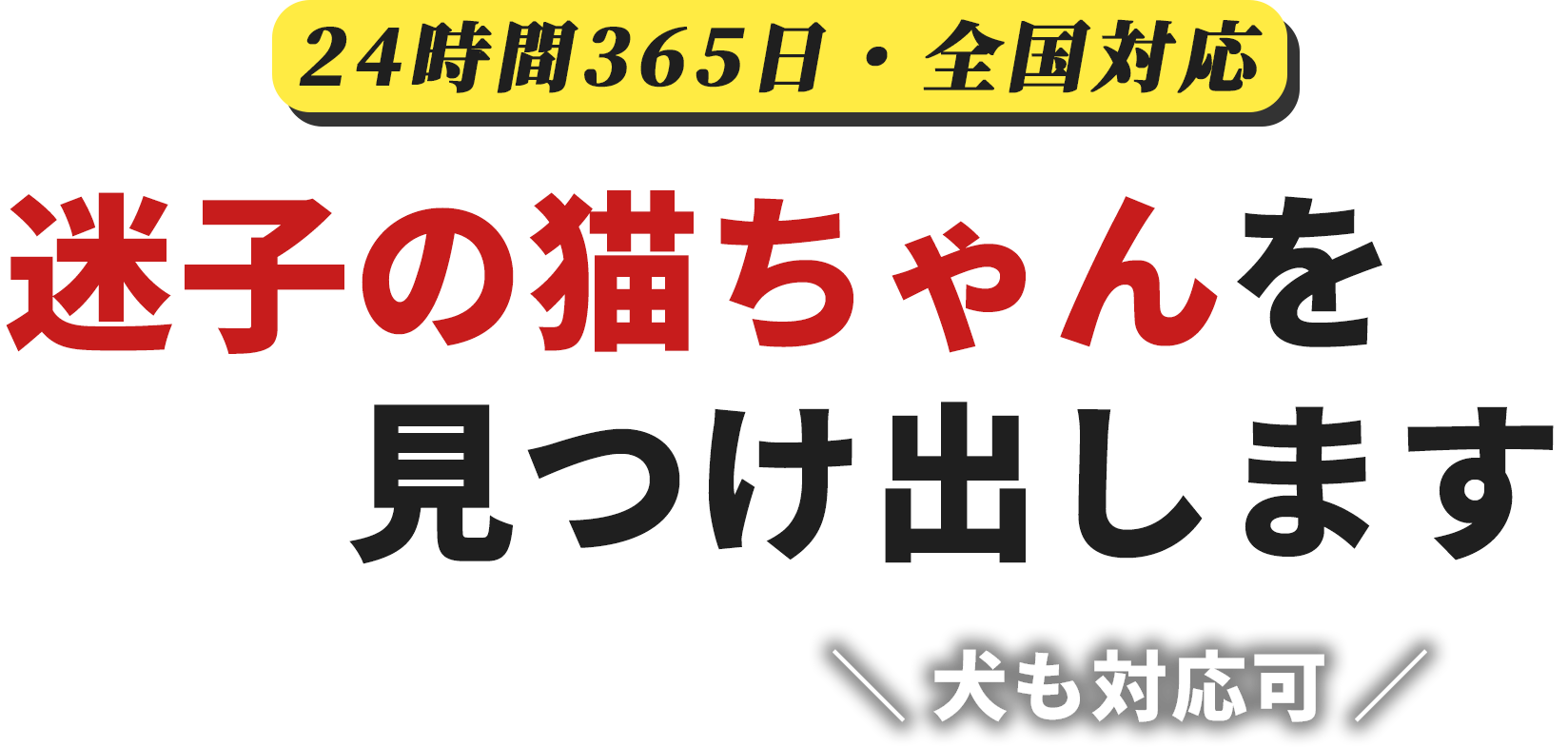 迷子の猫ちゃんを見つけ出します