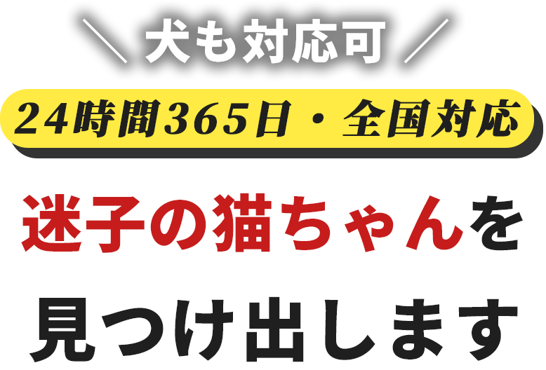 迷子の猫ちゃんを見つけ出します